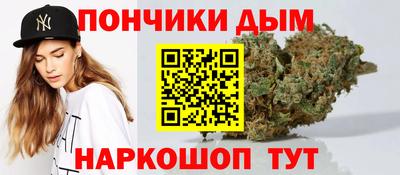 гидра Бердск