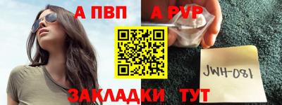 гидра Бердск