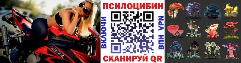 Галлюциногенные грибы Magic Shrooms  купить  цена  Асбест 