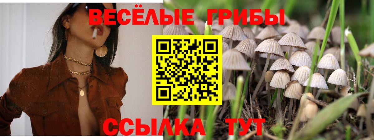 Галлюциногенные грибы GOLDEN TEACHER Асбест