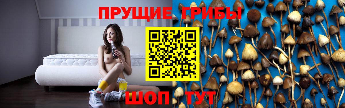 Псилоцибиновые грибы мицелий  Вход с VPN  Асбест  Псилоцибиновые грибы Cubensis 