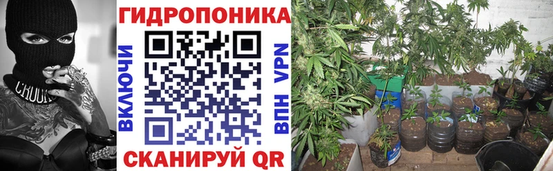 где можно купить наркотик  Асбест  Бошки марихуана гибрид 